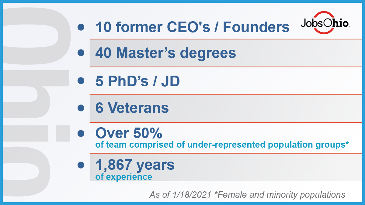 Hiring Strategy Infographic